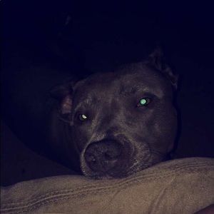 Meet your Posher, Marcella